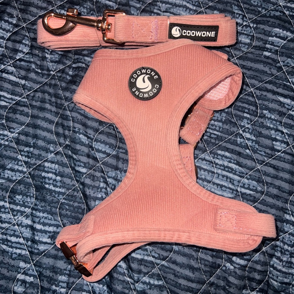 Harness and Leash Set No Pull No Choke Soft Velvet and Breathable Mesh